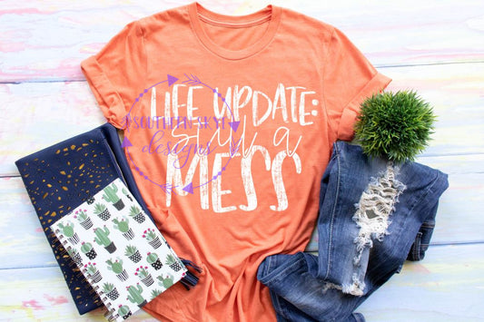 Life Update - Still A Mess