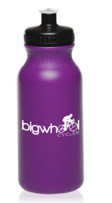 20 oz Water Bottles with Push Caps